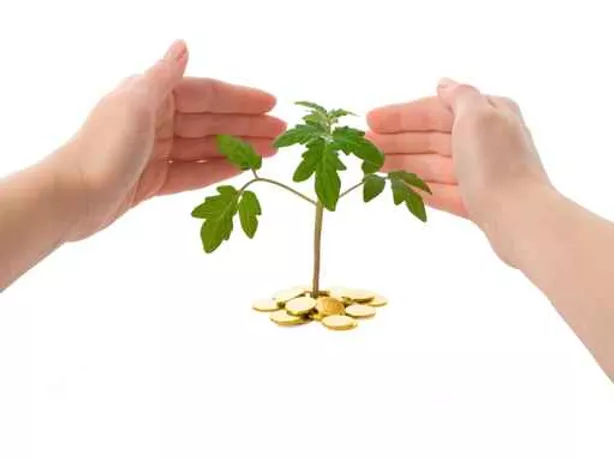 Hand Protecting A Plant And Money